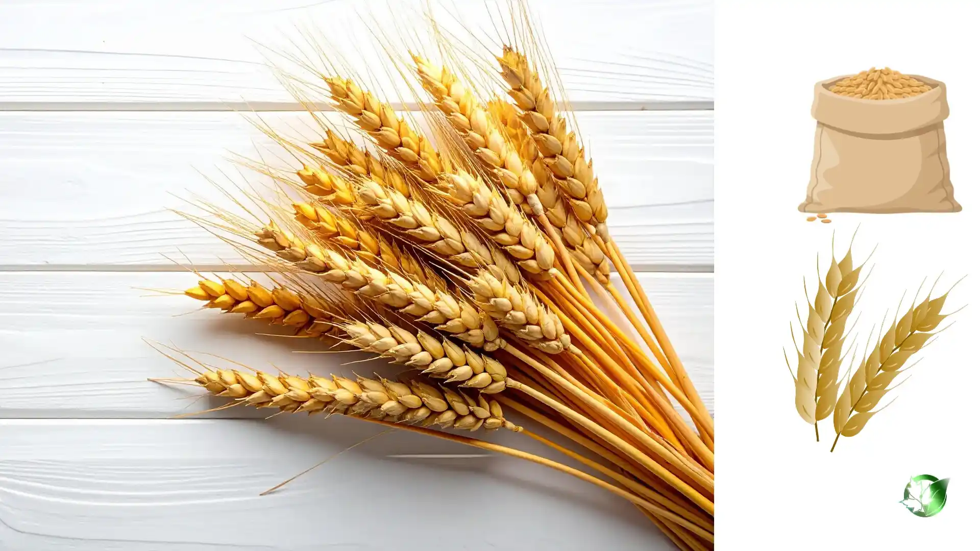 Wholesale packaging for Cereals & Grains can be planned for retail, foodservice, private-label, or industrial distribution.